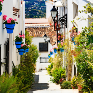 Réservez des visites sur la Costa del Sol