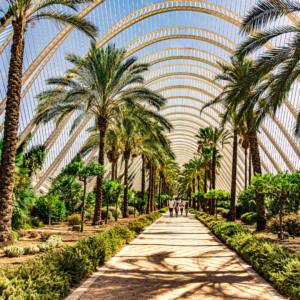Réservez des visites à Valencia